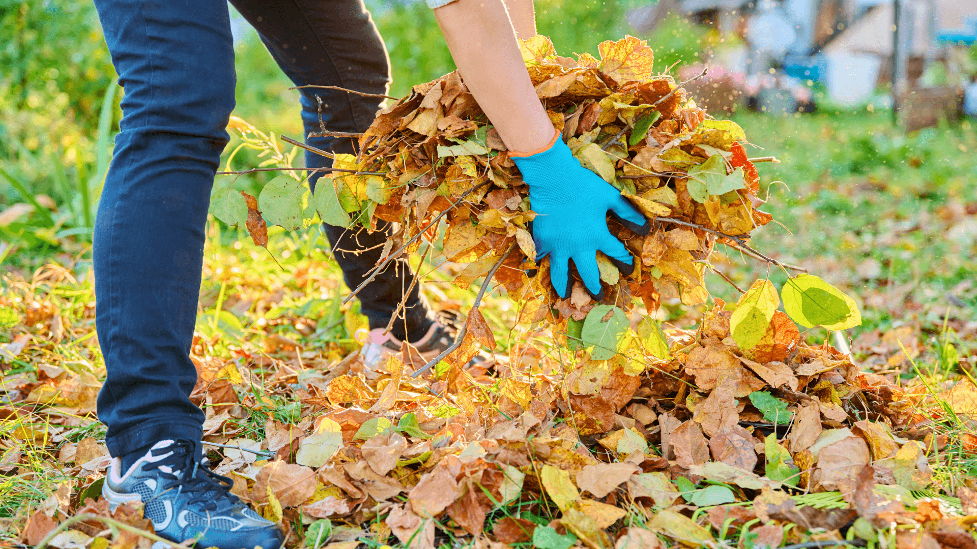 pine hills nursery pass christian mississippi fall garden clean up guide leaf pile
